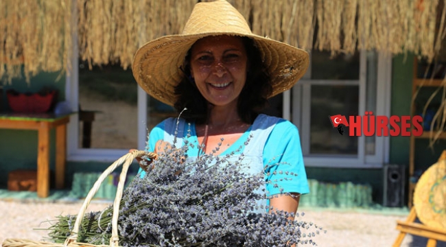Kaş’ta lavanta yetiştiriciliği başladı