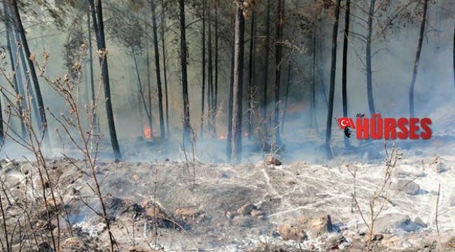 Kumluca&#039;daki orman yangını söndürüldü
