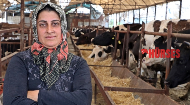 Servetine servet kattı