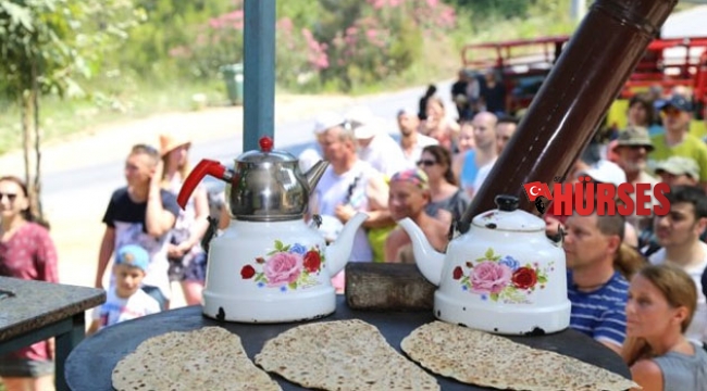 Turistlerin olmazsa  olmazı safari turları