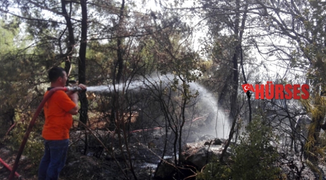 Antalya'da orman yangını