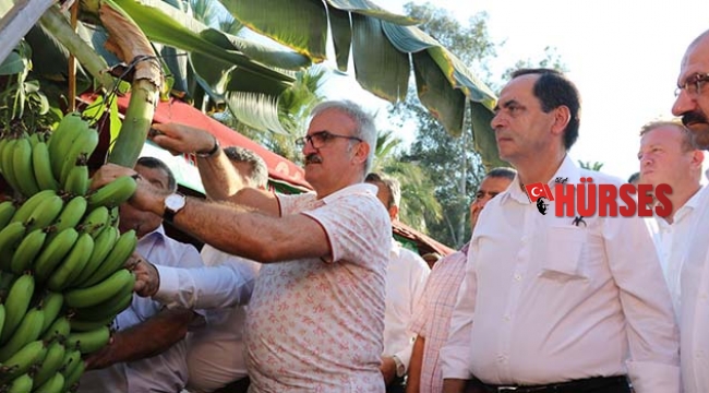GAZİPAŞA'DA HASAT ŞENLİĞİ