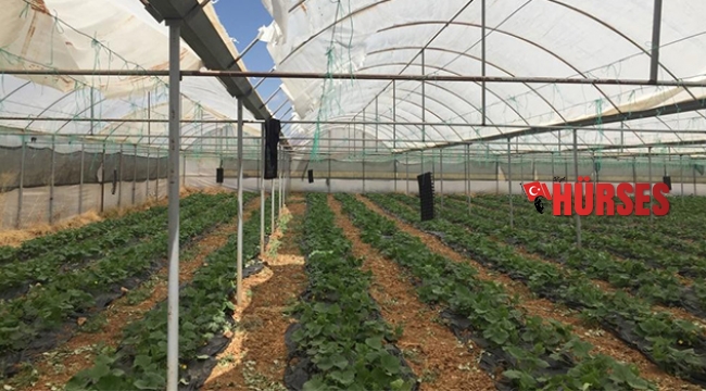 HORTUM SERAYA ZARAR VERDİ