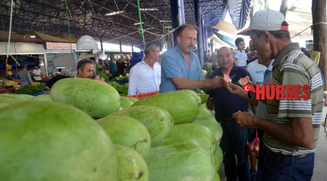 Kadınbudu karpuzu ilgi çekiyor
