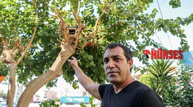 Kayıp kargasını arıyor