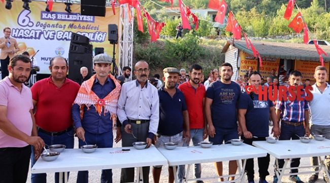 Bal yeme yarışması