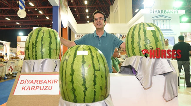 GÜneydoğu Anadolu YÖREX’te