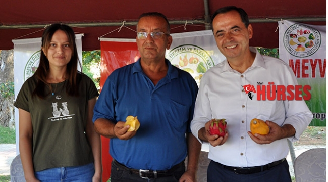 Mangonun tanesi 30 liraya alıcı buldu