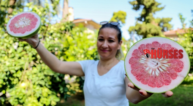 Sadece Antalya'da yetişiyor