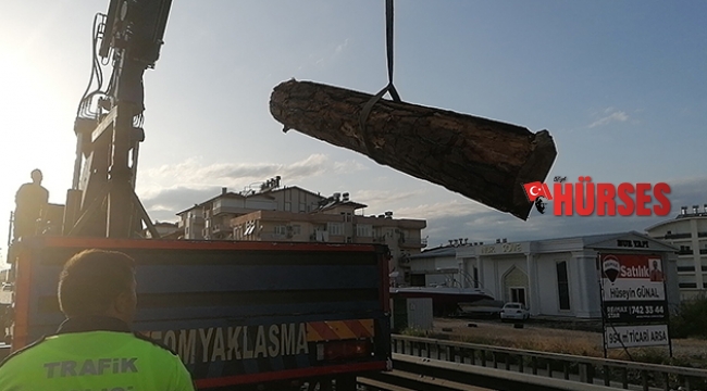 Tomruklar kazaya neden oldu
