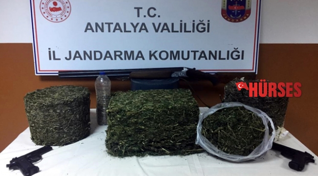 Uyuşturucuyu arı kovanına gizlemiş