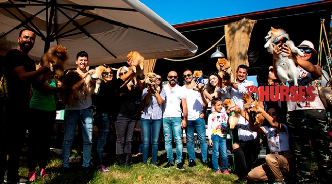'Pomeranian' sahipleri  Antalya'da buluştu