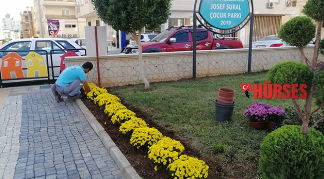 Alanya kışın da çiçek açacak