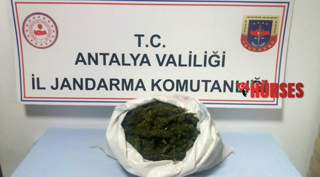 Esrarla yakalandılar
