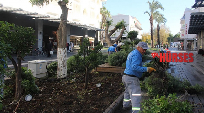 Kemer’de peyzaj çalışması