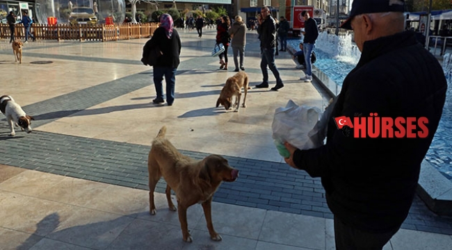 Maaşını hayvanlara harcıyor