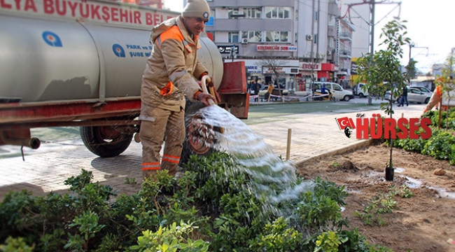 Ali Çetinkaya’da peyzaj çalışması