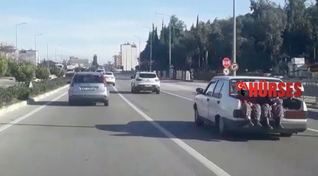 Bagajda ilginç yolculuk