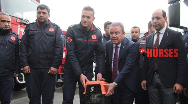 DEPREMZEDE KEDİ ANTALYA'DA
