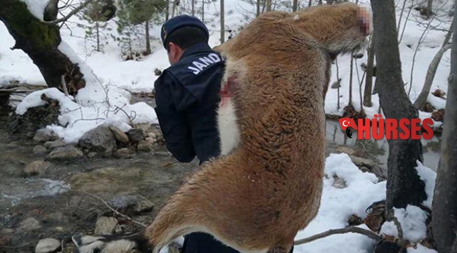 Ekipler, korkunç  manzarayla karşılaştı