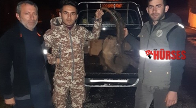 Kaçak yaban keçisi avına 30 bin TL ceza