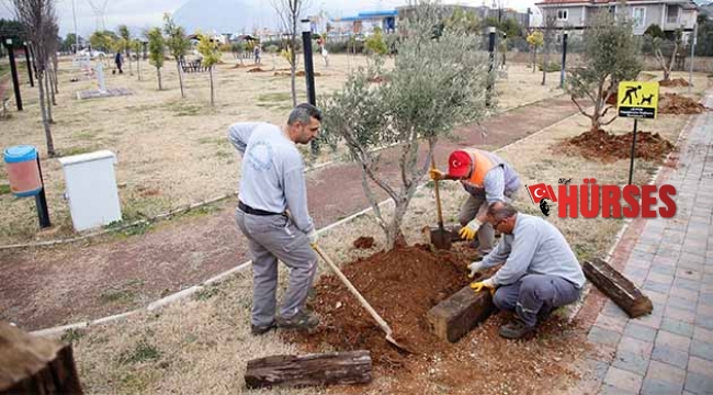 41 hayat için 41 ağaç dikildi