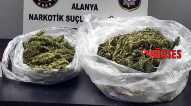 Alanya’da esrar  ele geçirildi