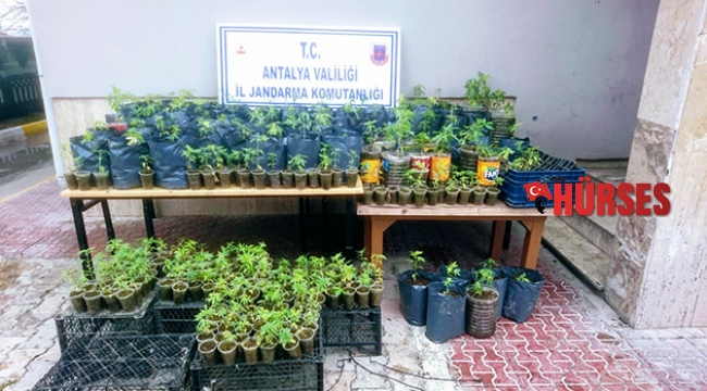 Antalya'da uyuşturucu operasyonu