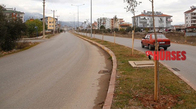 Döşemealtı'nda ağaçlandırma seferberliği