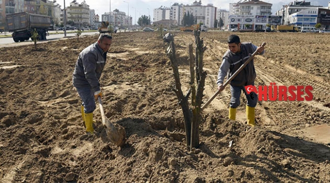 Şafak Mahallesine portakal bahçesi