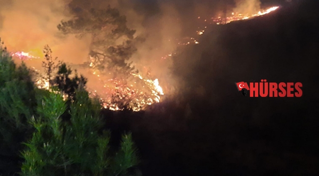 Manavgat’ta orman yangını