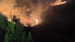 Manavgat’ta  orman yangını