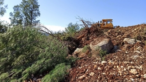 Orman envanterlerine zarar verdiler