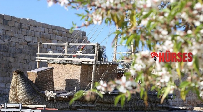 Patara Antik Kenti'nde baharın uyanışı