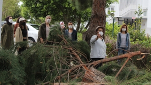 Antalya’da sitede ağaç kesim gerginliği