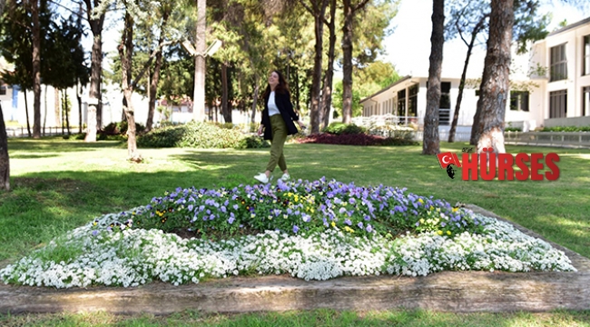 Dokumapark çiçek açtı