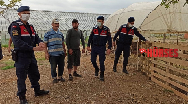 Jandarma kayıp koyunları buldu