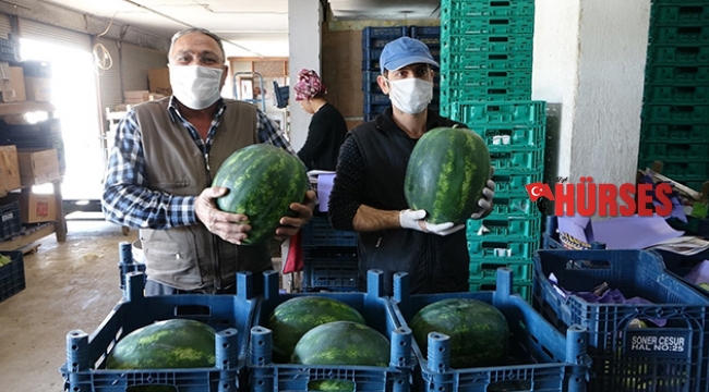 Karpuzlar satışa çıktı