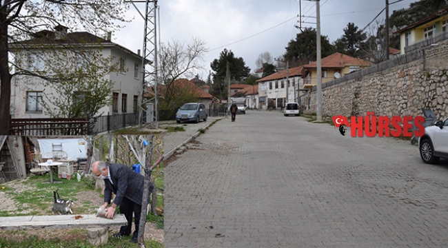 Yaylada hayvanları beslediler