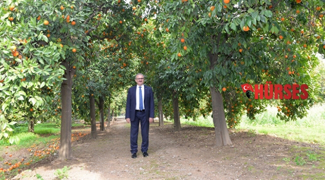 Afrika sıcakları çitçiyi vurdu