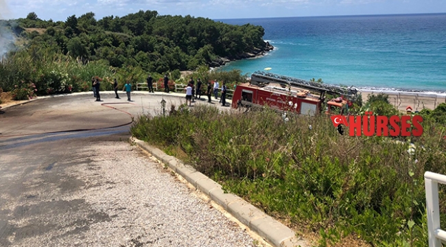 Alanya’da çalılık yangını