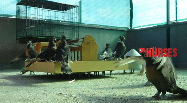 Çifti 40 bin lira