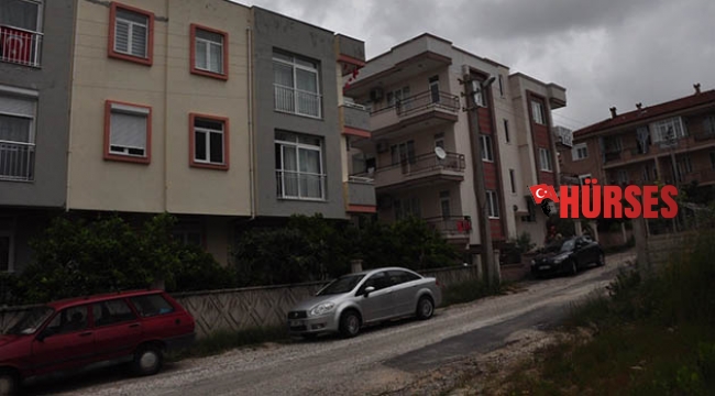 Portakal ağacına takılarak yaralı kurtuldu