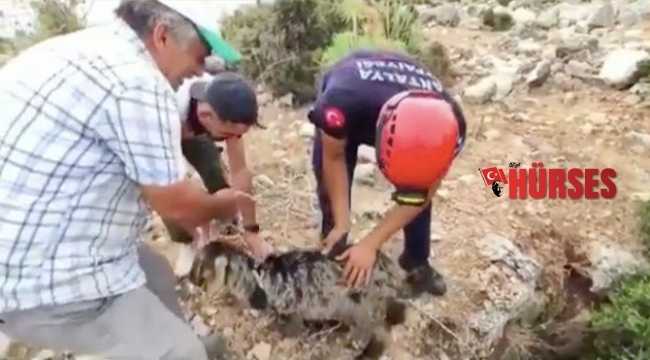 3 saatlik çalışmayla kurtarıldı