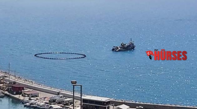 Alanya limanında orkinos kirliliği iddiası