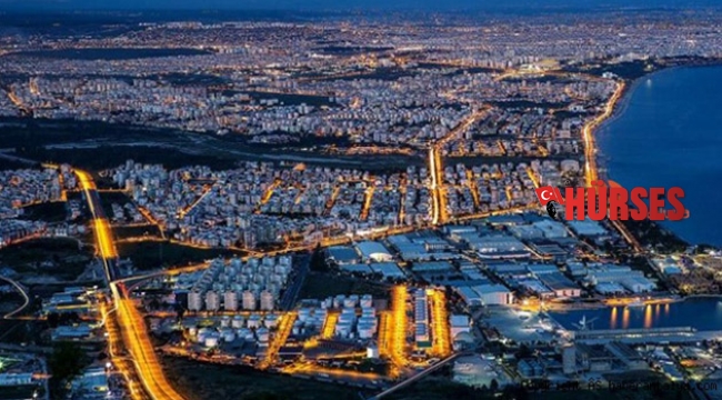 Antalya'da 2019 yılında kaç kişi hayatını kaybetti ?