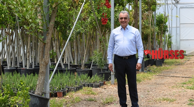 Başkan Esen, 250 fidan ile meydan okudu