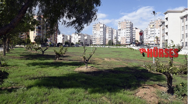 Çamlıbel’e narenciye bahçesi