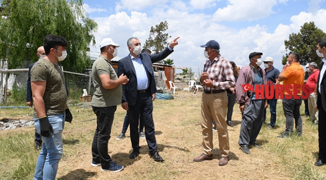 Hayvan yetiştiricilerini sevindiren hibe