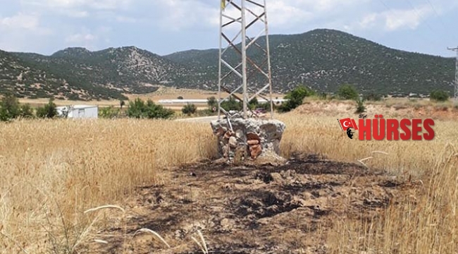 Kargalar, tarlayı tutuşturdu